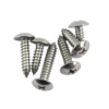 Self tapping screws4